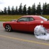 Аватар: Кежик Дабаа