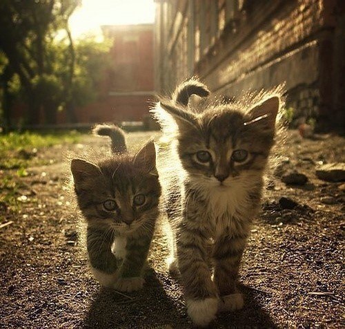 Lenochka Isaeva | Архангельск