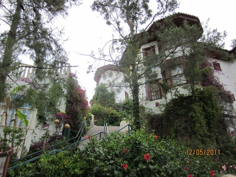 Евгений Заварский Александрович | Липецк