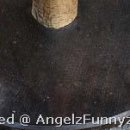 №30, Вітя Глушук, Луцк №30, Вітя Глушук, Луцк