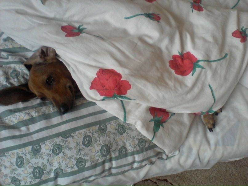 №81, Оля Дмитриева, 27 лет, Москва №81, Оля Дмитриева, 27 лет, Москва