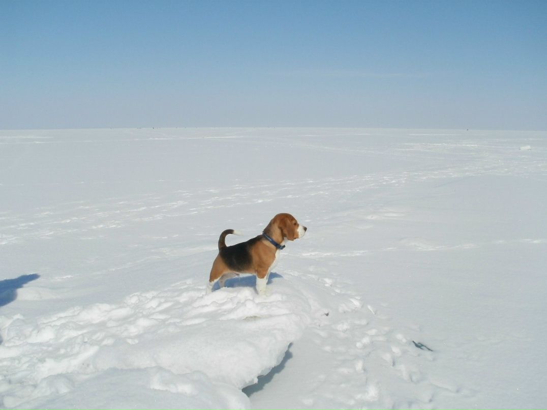Татьяна Павлюк | Днепрорудное