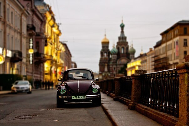 Оля Петрина AFRICA | Санкт-Петербург