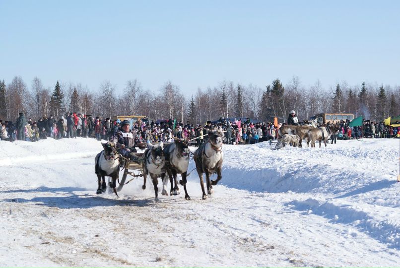 Александр Луцюк | Инта