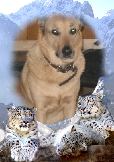 №136, Максими Дудник, Москва №136, Максими Дудник, Москва