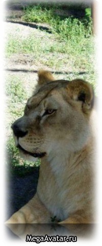 №99, Юличка Лошкарева, 37 лет, Харьков №99, Юличка Лошкарева, 37 лет, Харьков