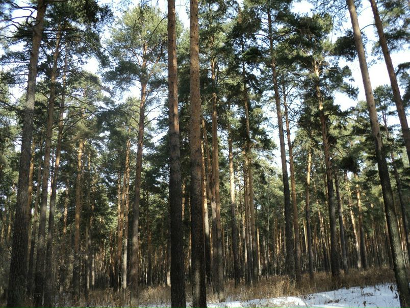 №72, Дмитрий Куриленко, 46 лет, Мариуполь №72, Дмитрий Куриленко, 46 лет, Мариуполь