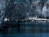 Артем Ракитин | Иркутск