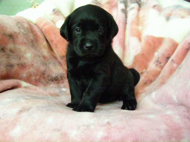 №164, Татьяна Жуковская, Киев №164, Татьяна Жуковская, Киев