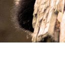 №113, Алина Деревянко, Харьков №113, Алина Деревянко, Харьков