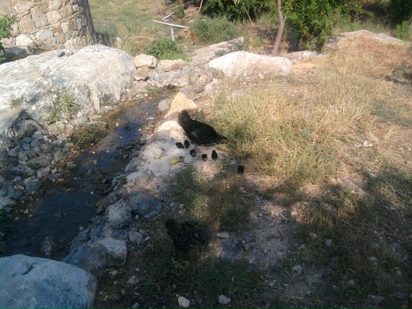 №37, Cahit Can, Antalya №37, Cahit Can, Antalya