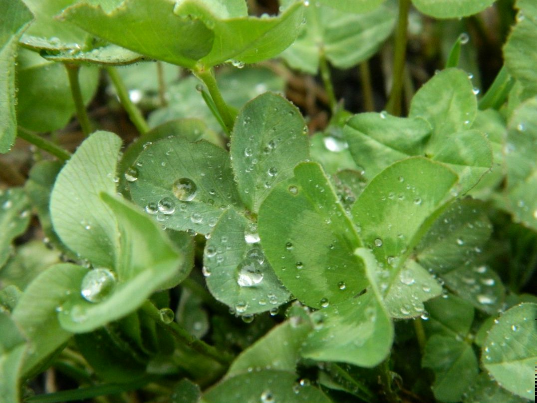 Виталий Михалюк | Киев