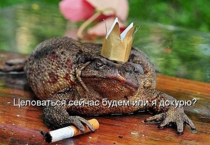 Юрий Кулик | Запорожье