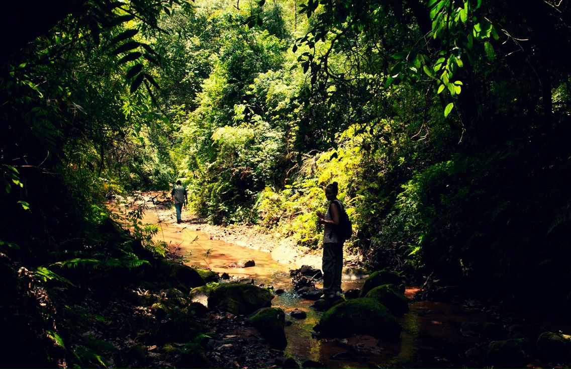 Алехандро Креспо-Каштанов eXWoLL | Харьков