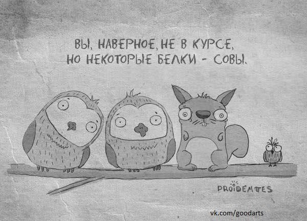 Влада Иваненко | Харьков