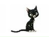 Евгений Лапкин | Мытищи