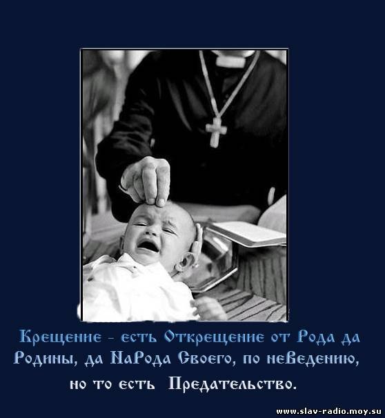 White Wolf | Москва