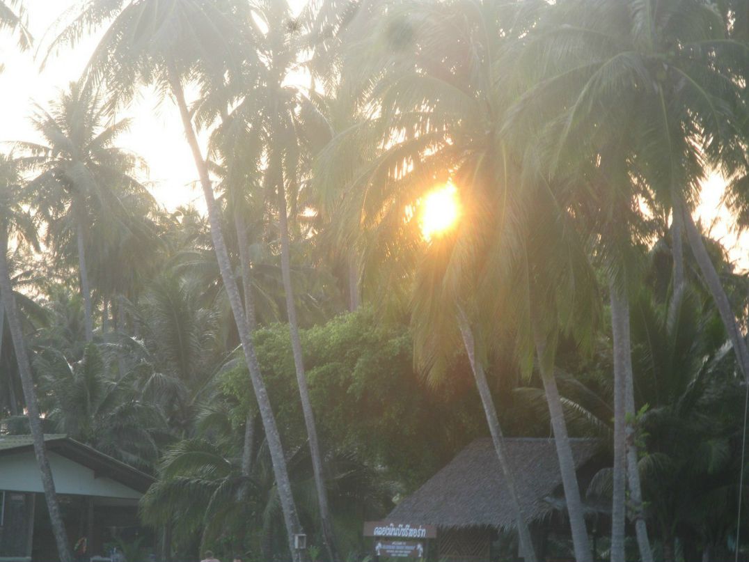 Светлана Полякова | Москва