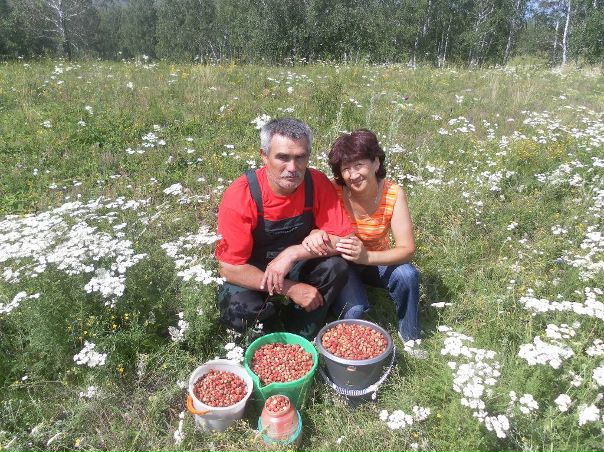 №19, Инсаф Магафуров №19, Инсаф Магафуров