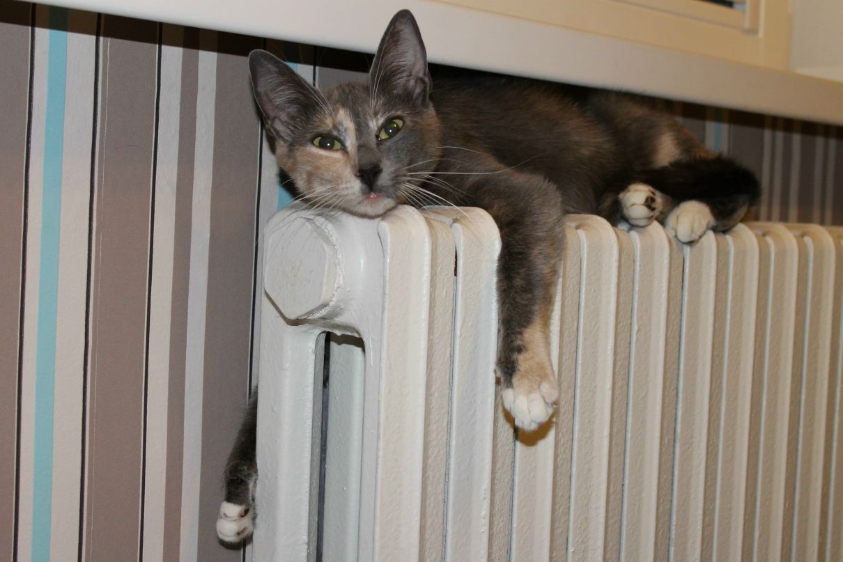 Женя Заруба | Минск