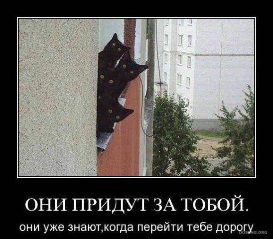 Олег Арзубов | Санкт-Петербург