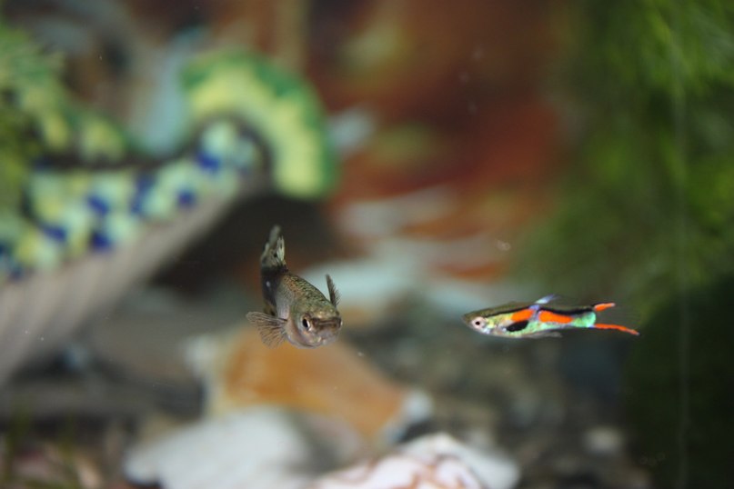 Катя Сарафанова | Севастополь