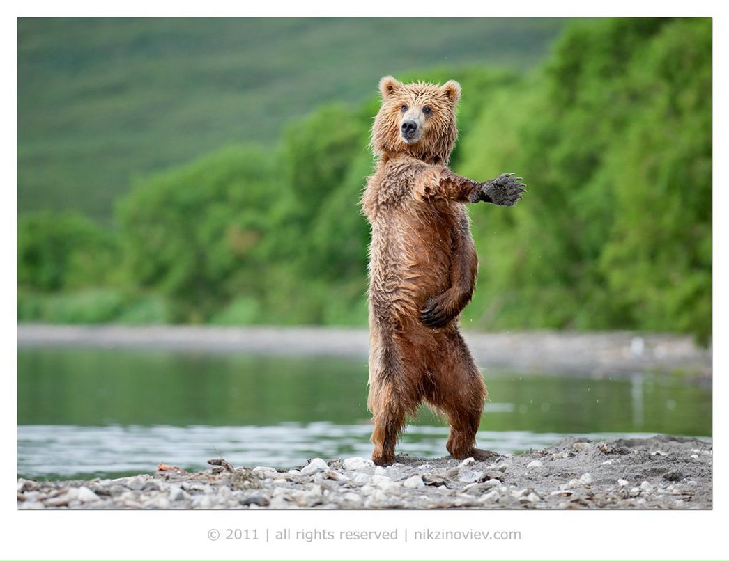 Андрій Онасенко | Wien