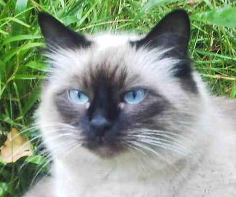 Олюська Соколова | Санкт-Петербург