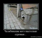 Фотография Евгений Королёв
