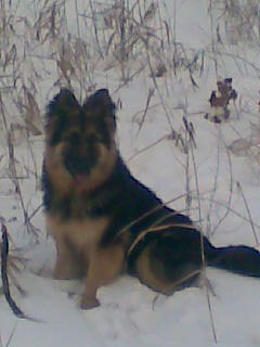 Дмитрий Горшенин | Харьков