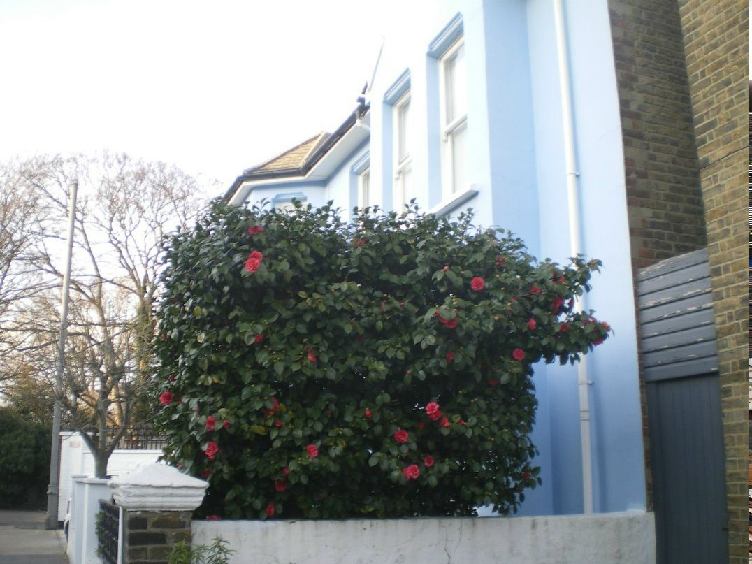 Дарья Ждан-Пушкина | Москва