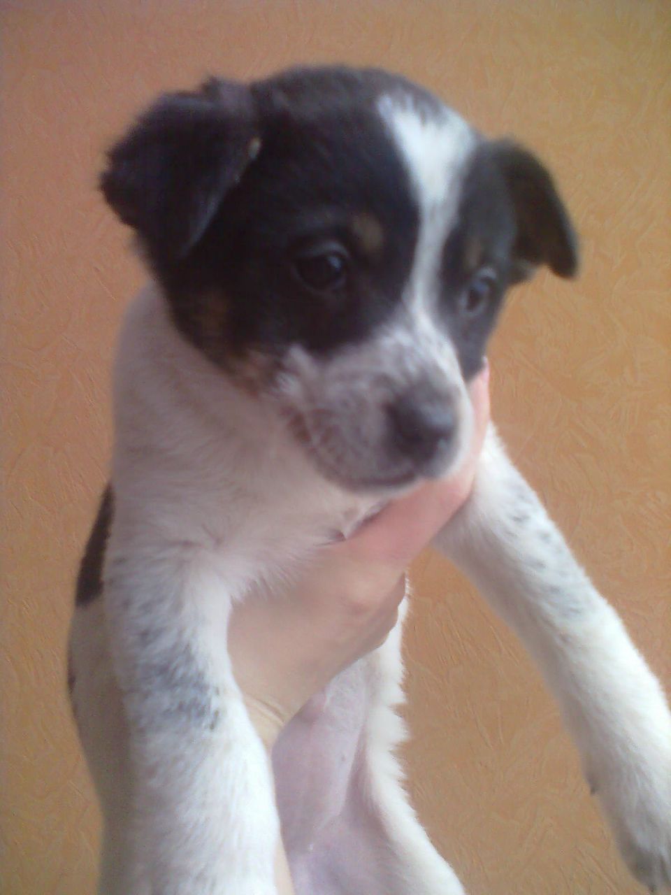 Санька Родионова | Москва