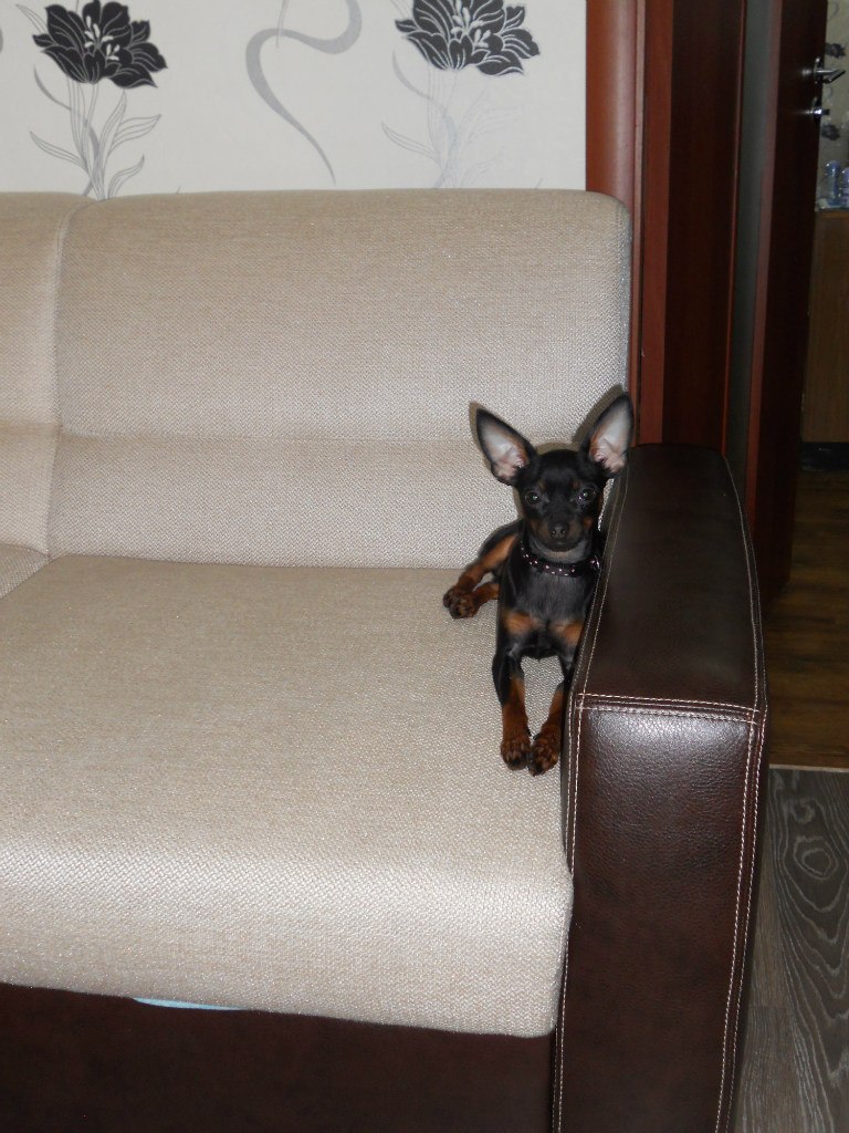 Margo Tixonova | Псков