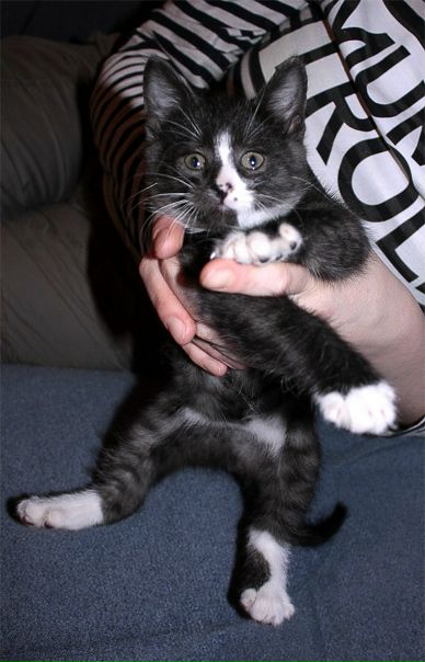 №73, Мария Воронцова, 46 лет, Петропавловск-Камчатский №73, Мария Воронцова, 46 лет, Петропавловск-Камчатский