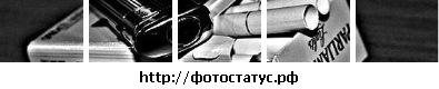 №74, Вероника Стрильчук №74, Вероника Стрильчук