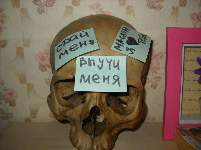 Елена Трефилова | 