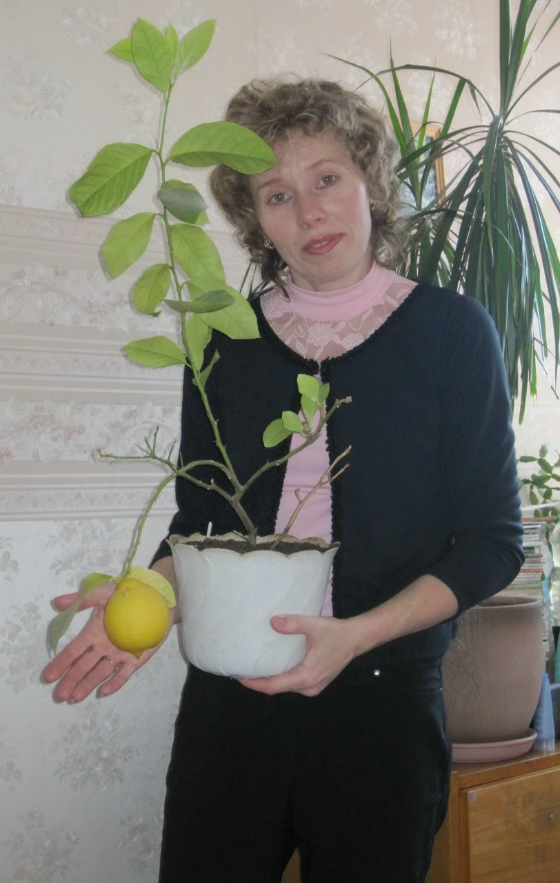 Елена Макарова | Петрозаводск