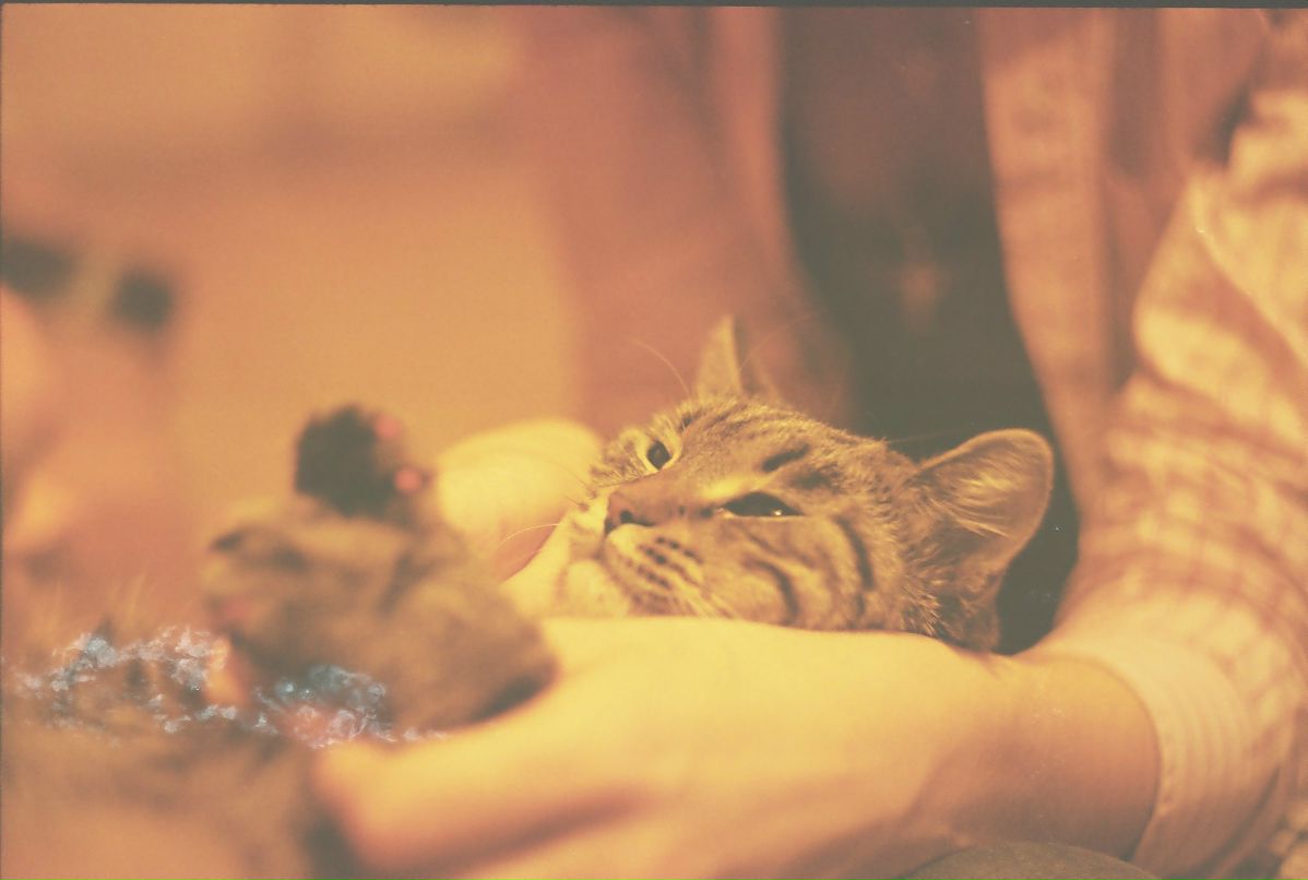 Евгений Корсяков Nail | Санкт-Петербург