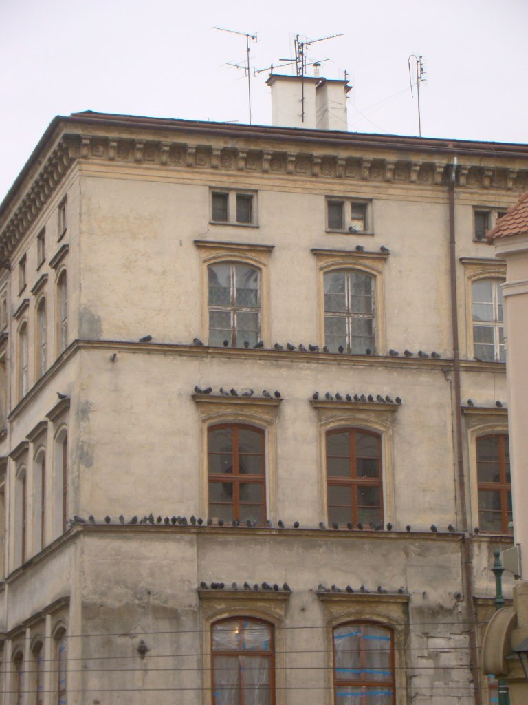 Анжела Мусик Angel(a) | Днепр (Днепропетровск)