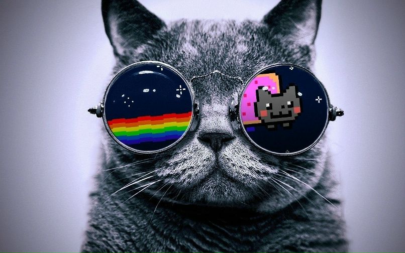 Владислав Линкевич | Одесса