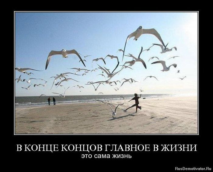 №15, Эльвин Исламов, Харьков №15, Эльвин Исламов, Харьков