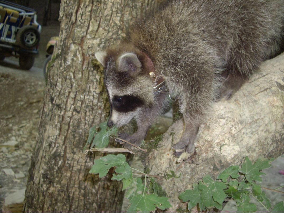 Алексей Поляков | Нижний Новгород
