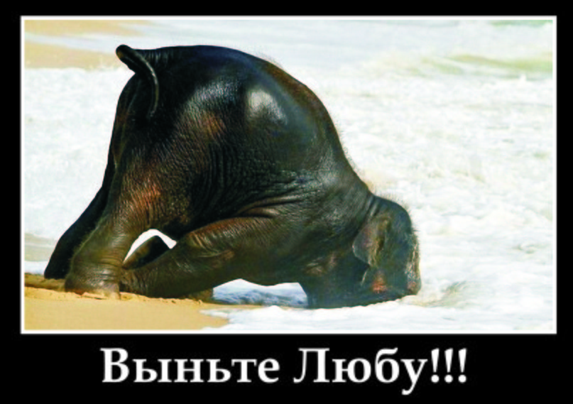 Люба Вострецова Lovka | Москва