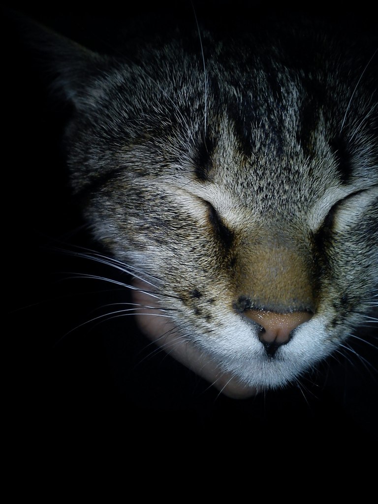 Георгий Ассисяй | Раздольная