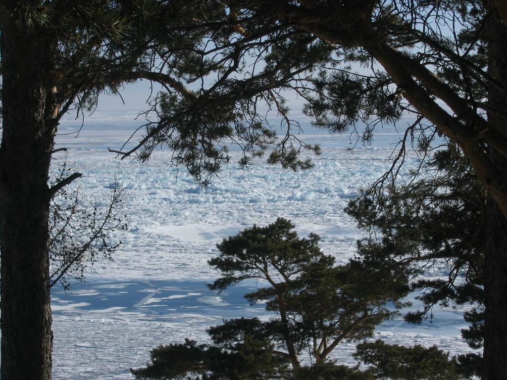 Maks Kozharin | Москва