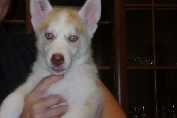 Тёма Михайлец | Кривой Рог