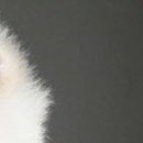 №106, Полина Долгих, 35 лет №106, Полина Долгих, 35 лет