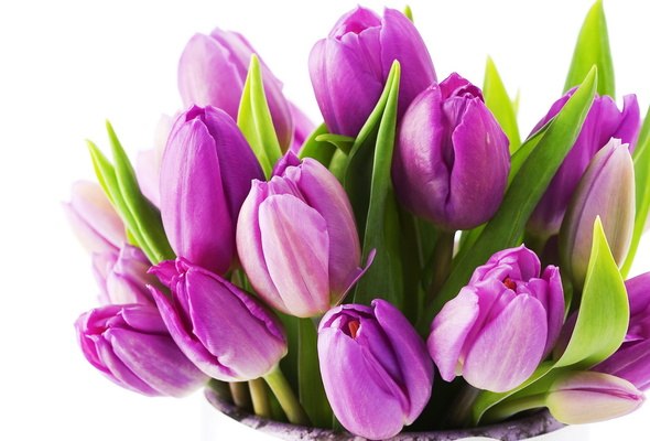 Елена Гусева | Казань