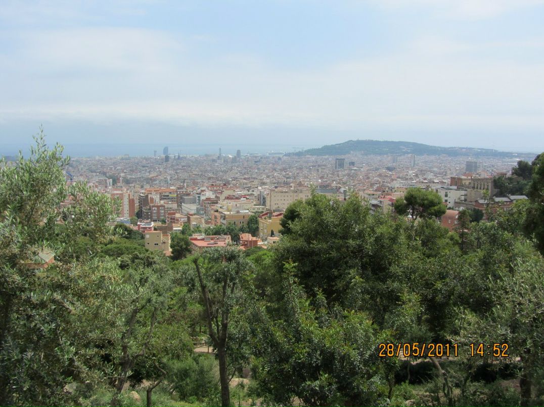 Оля Вишневская | Краснодар