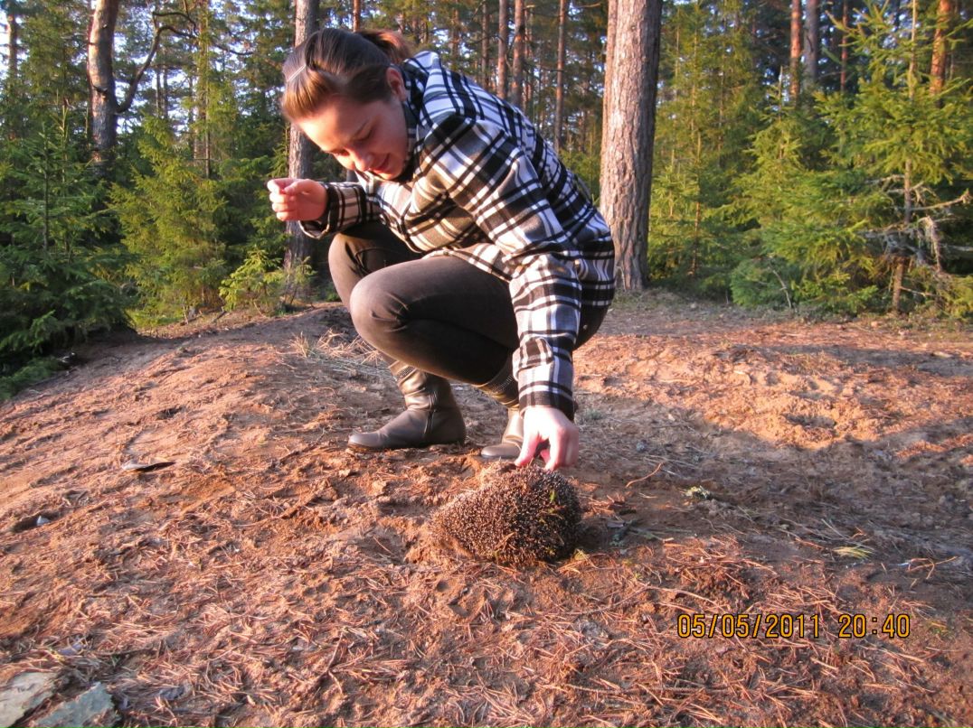 Екатерина Комелькова | Выборг
